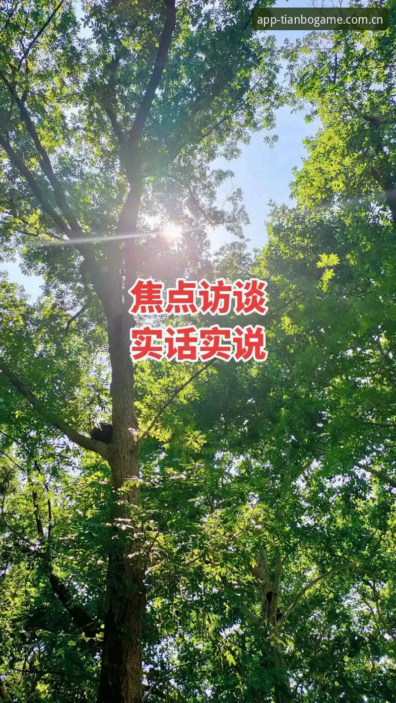 官网正位入口兼容版最新版 老用户实话实说:天博体育平台